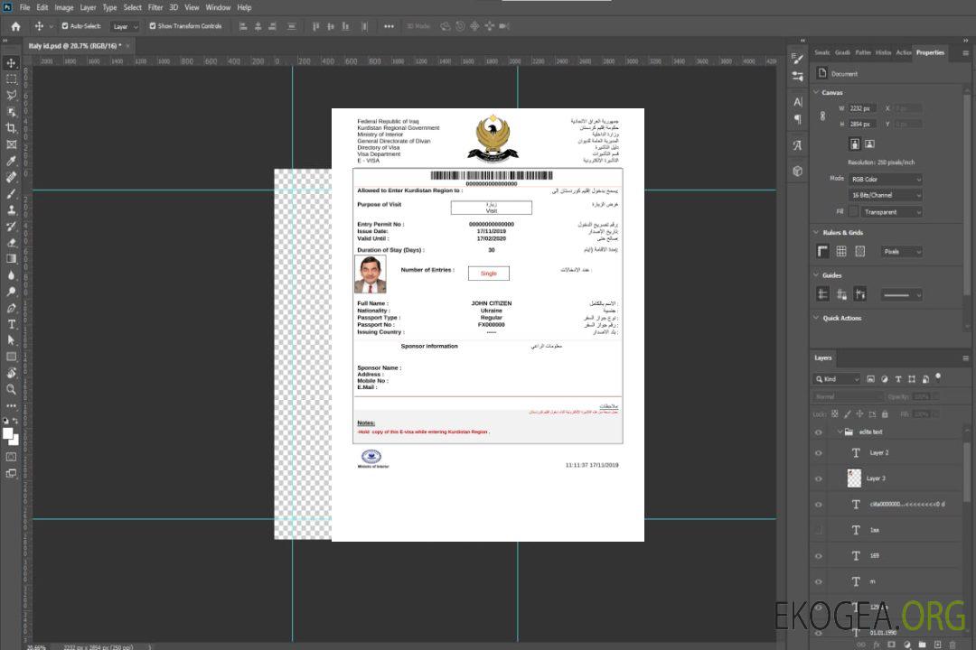Visa électronique pour l'Irak en modèle Word et PDF template